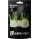 Насіння Фенхель Флоренс 0,5 г LedaAgro