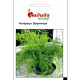 Насіння Аспарагуса Шпренгера 0,2 г