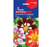 Насіння Жоржина Коларетта Денді GL Seeds 0,25 г