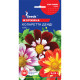 Насіння Жоржина Коларетта Денді GL Seeds 0,25 г