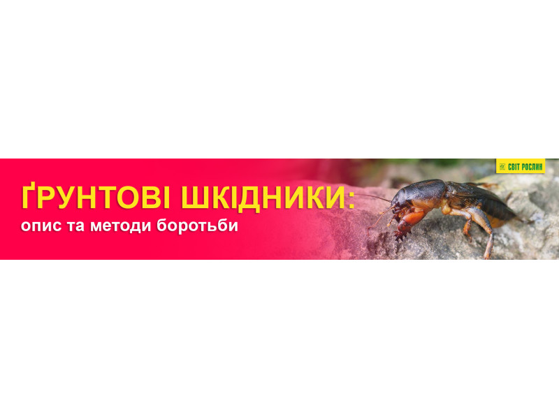Ґрунтові шкідники: опис та методи боротьби