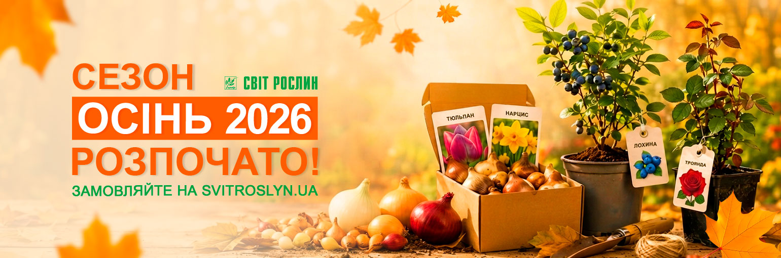 Осінь 2026