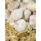 Часник Любаша Білий 1 кг Україна