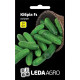 Насіння Огірок Кібрія F1 50 нас LedaAgro