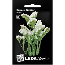 Насіння Кермек Айсберг білий 0,15 г LedaAgro