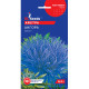 Насіння Айстра Ангора 0,3 г GL Seeds