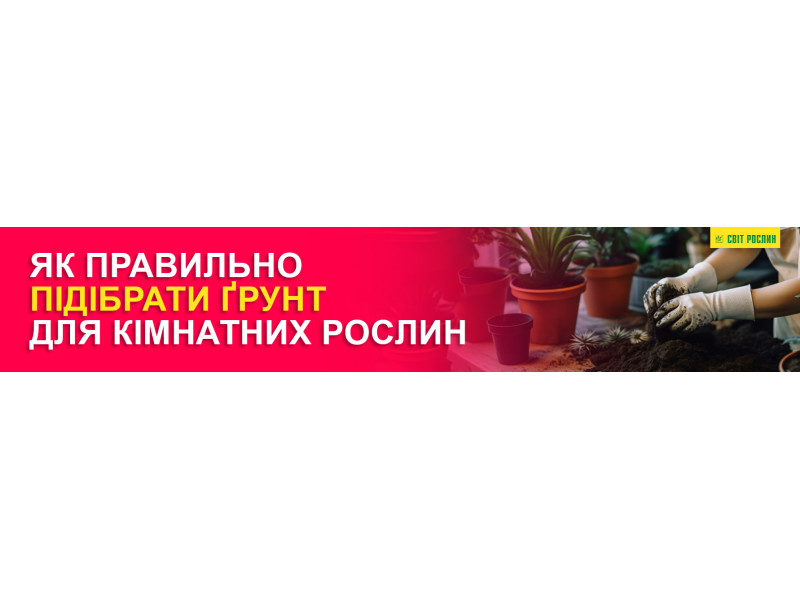 Як правильно підібрати ґрунт для кімнатних рослин