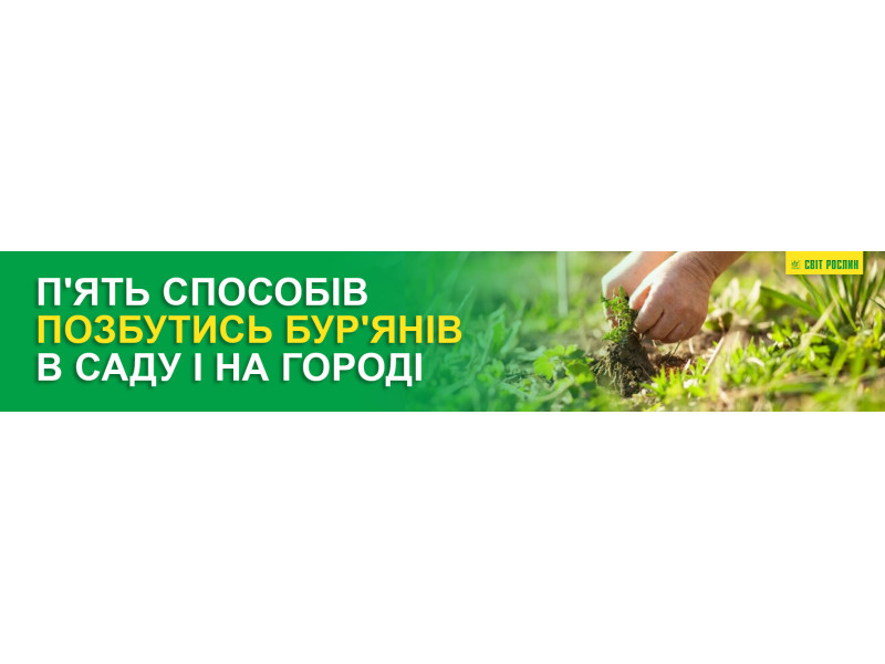 П'ять способів позбутись бур'янів в саду і на городі