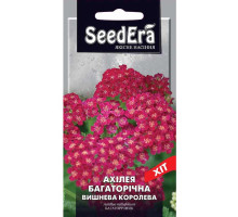 Насіння Ахілея (Деревій) Вишнева Королева багаторічна 0,1 г Seedera