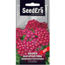 Насіння Ахілея (Деревій) Вишнева Королева багаторічна 0,1 г Seedera