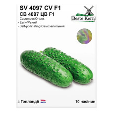 Семена Огурец СВ 4097 ЦВ F1 10 сем Beste Kern