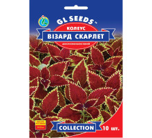 Насіння Колеус Візард Скарлетт 10 нас GL Seeds