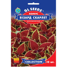 Насіння Колеус Візард Скарлетт 10 нас GL Seeds