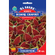 Семена Колеус Визард Скарлетт 10 сем GL Seeds