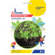 Насіння мікрозелені Базилік 5 г Professional GL Seeds