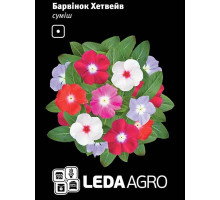 Барвінок Хетвейв (суміш) 10 шт Leda Agro