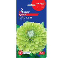 Насіння Цинія Лайм Квінн 0,5 г GL Seeds