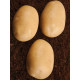 Картопля Саванна (2 репродукція), фракція 35-55 1 кг