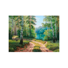 Алмазна мозаїка без підрамника Лісова дорога 30*40 см
