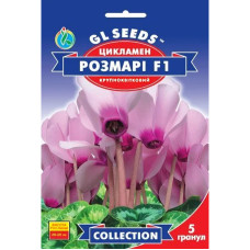Насіння Цикламен Розмарі F1 5 насінин GL Seeds
