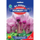 Насіння Цикламен Розмарі F1 5 насінин GL Seeds