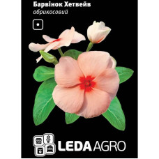 Барвінок Хетвейв абрикосовий 10 шт Leda Agro