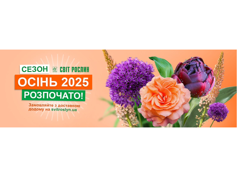Старт сезону Осінь 2025
