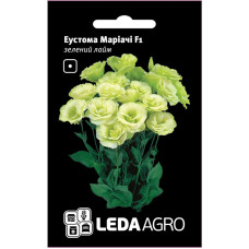 Насіння Еустома Маріачі F1 зелений лайм 5 шт LedaAgro