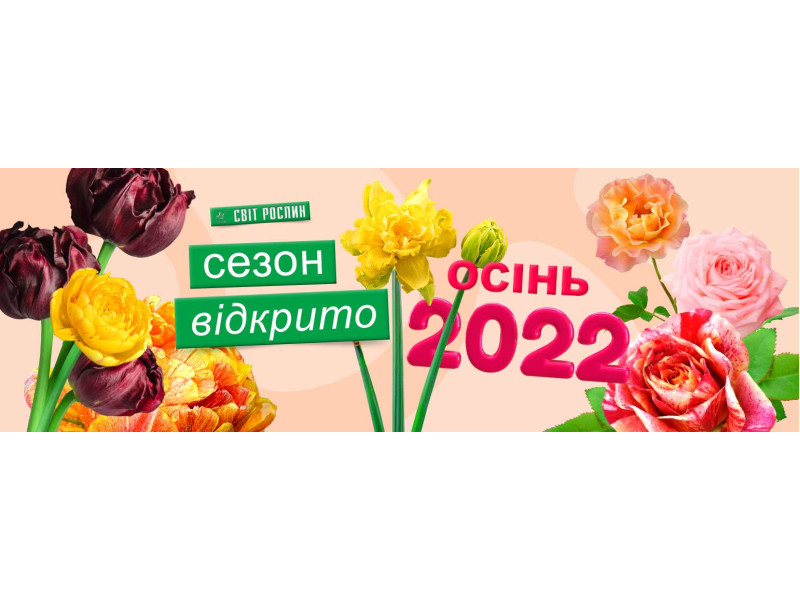 Оголошуємо сезон 