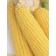 Насіння Кукурудза цукрова Джульєтта F1 50 нас