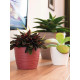 Вазон Сахара Петит 13 см 1 л Крем Круглий