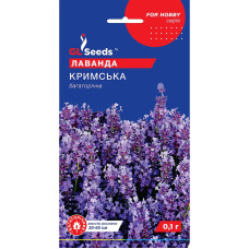 Насіння Лаванда Кримська багаторічна GL Seeds 0,1 г