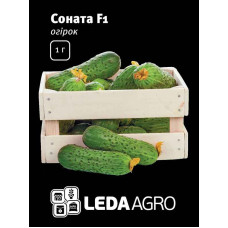 Насіння Огірок  Соната F1 засолочний 1г  LedaAgro