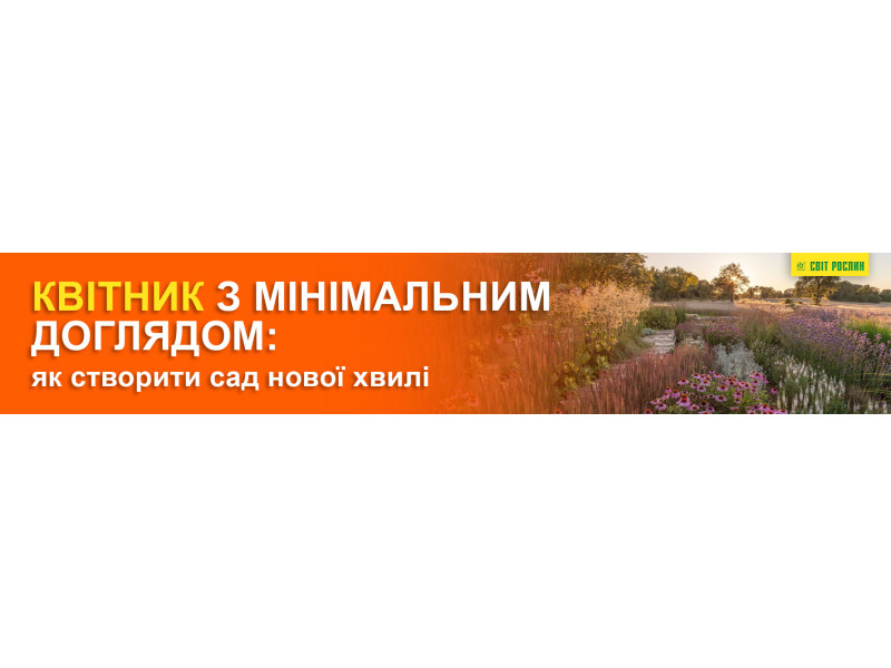 Квітник з мінімальним доглядом: як створити сад нової хвилі