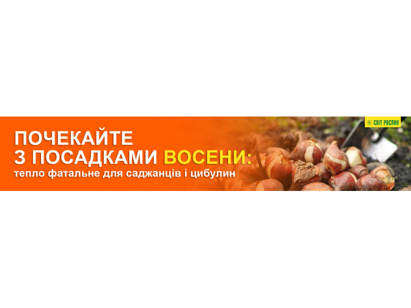Почекайте з посадками восени: тепло фатальне для саджанців і цибулин