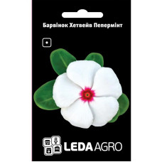 Барвінок Хетвейв Пеппермінт білий 10 шт Leda Agro