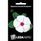 Барвінок Хетвейв Пеппермінт білий 10 шт Leda Agro