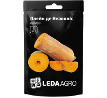 Насіння Гарбуз Плейн де Неаполіс 5 нас LedaAgro