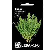 Насіння Рукола Синоп дика 100 насінин LedaAgro