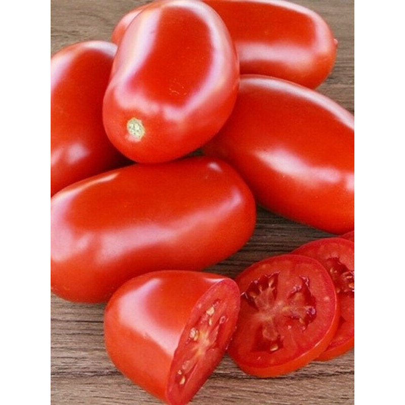Насіння Томат Інкас F1 20 нас
