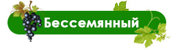 На что обращать внимание при выборе сортов винограда