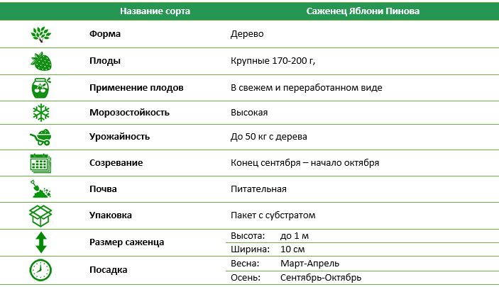 Яблуня Пінова
