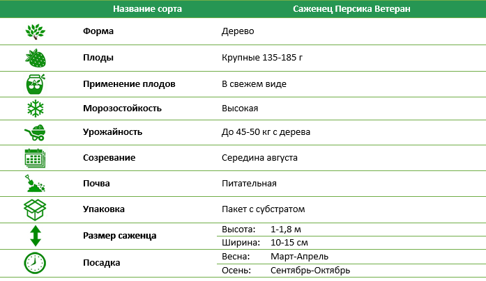 Персик Ветеран