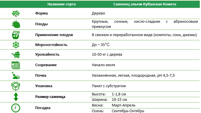 Саджанець аличі Кубанська комета
