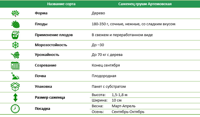 Груша Артемівська