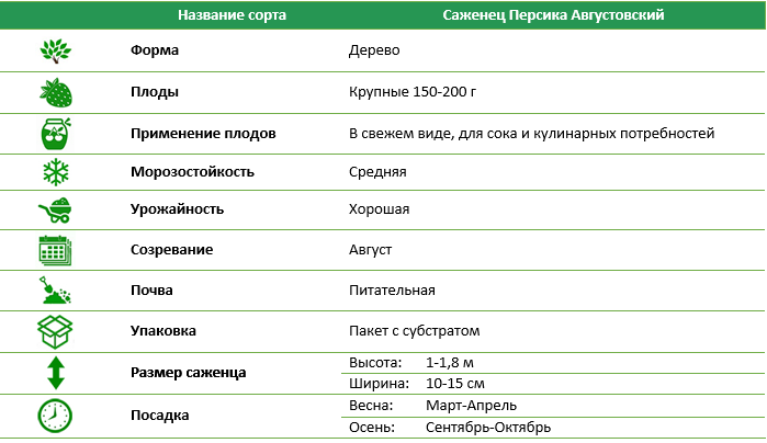 Персик Августовский