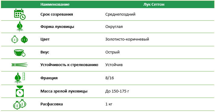 Лук севок Сеттон (Setton) 1 кг