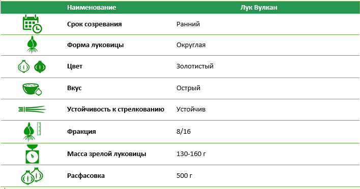 Лук-севок Вулкан 500 г