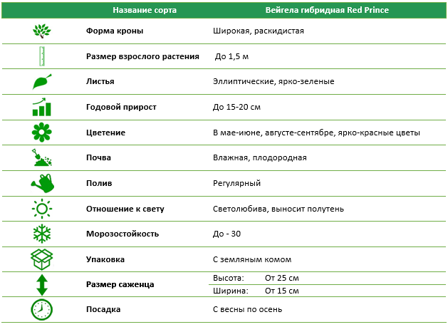 Вейгела гібридна Red Prince