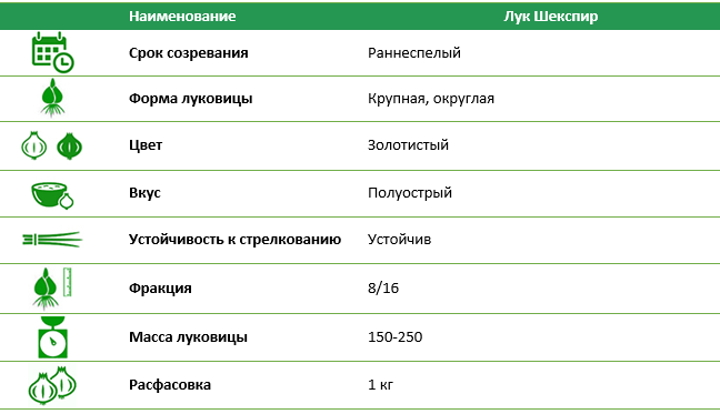 Лук севок Шекспир (Shakespeare) 1 кг
